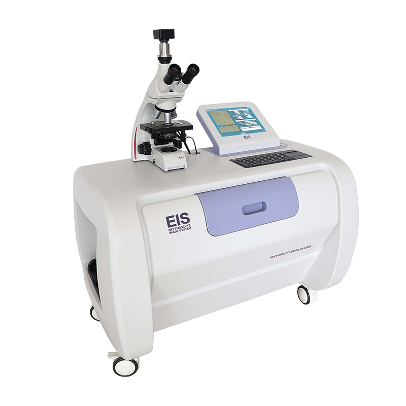 EIS红细胞聚集检测